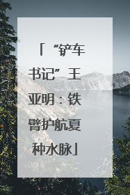 “铲车书记”王亚明：铁臂护航夏种水脉