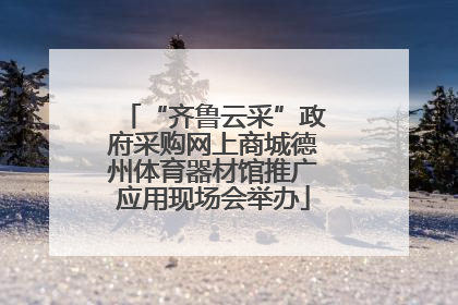 “齐鲁云采”政府采购网上商城德州体育器材馆推广应用现场会举办