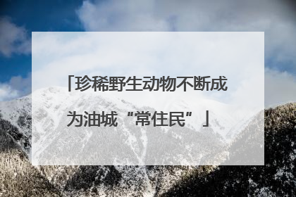 珍稀野生动物不断成为油城“常住民”