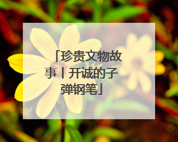 珍贵文物故事丨开诚的子弹钢笔