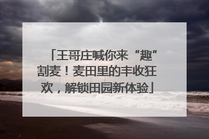 王哥庄喊你来“趣”割麦！麦田里的丰收狂欢，解锁田园新体验