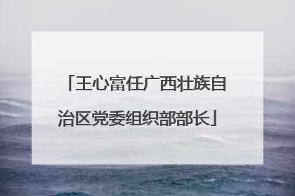 王心富任广西壮族自治区党委组织部部长