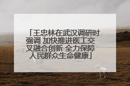 王忠林在武汉调研时强调 加快推进医工交叉融合创新 全力保障人民群众生命健康