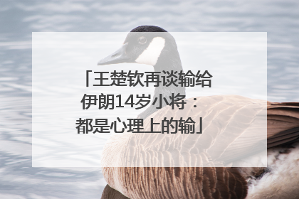 王楚钦再谈输给伊朗14岁小将：都是心理上的输