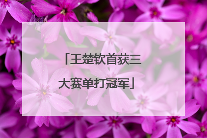 王楚钦首获三大赛单打冠军
