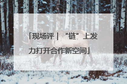 现场评｜“链”上发力打开合作新空间