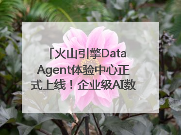 火山引擎Data Agent体验中心正式上线！企业级AI数据专家触手可及