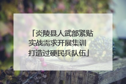 炎陵县人武部紧贴实战需求开展集训 打造过硬民兵队伍