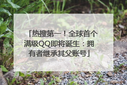 热搜第一！全球首个满级QQ即将诞生：拥有者继承其父账号