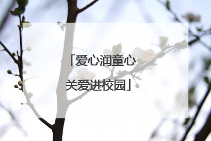 爱心润童心 关爱进校园