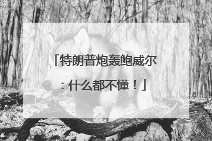 特朗普炮轰鲍威尔：什么都不懂！