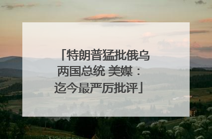 特朗普猛批俄乌两国总统 美媒：迄今最严厉批评