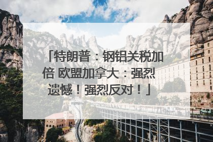 特朗普：钢铝关税加倍 欧盟加拿大：强烈遗憾！强烈反对！