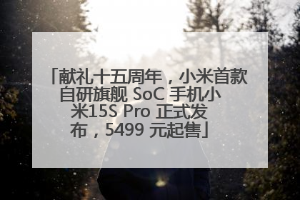 献礼十五周年，小米首款自研旗舰 SoC 手机小米15S Pro 正式发布，5499 元起售