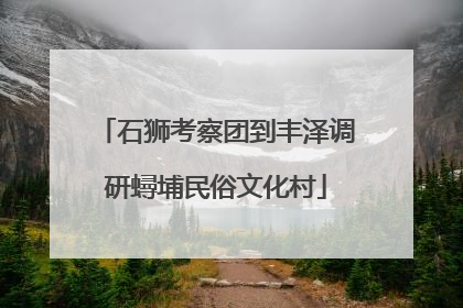 石狮考察团到丰泽调研蟳埔民俗文化村