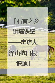 石雷之乡 铜墙铁壁——走访大泽山抗日根据地