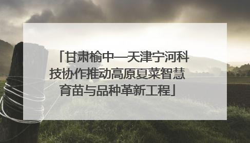 甘肃榆中—天津宁河科技协作推动高原夏菜智慧育苗与品种革新工程