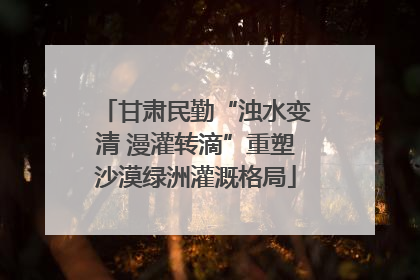 甘肃民勤“浊水变清 漫灌转滴”重塑沙漠绿洲灌溉格局