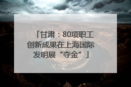 甘肃：80项职工创新成果在上海国际发明展“夺金”