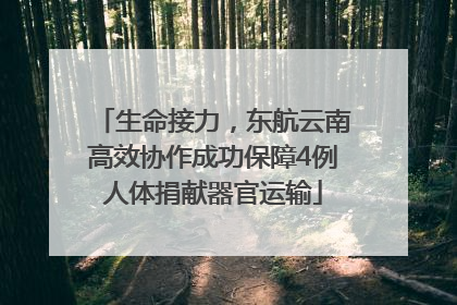 生命接力，东航云南高效协作成功保障4例人体捐献器官运输