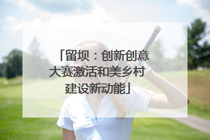留坝：创新创意大赛激活和美乡村建设新动能