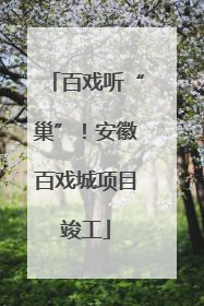 百戏听“巢”！安徽百戏城项目竣工