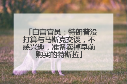 白宫官员：特朗普没打算与马斯克交谈，不感兴趣，准备卖掉早前购买的特斯拉