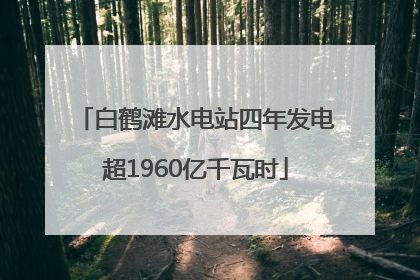 白鹤滩水电站四年发电超1960亿千瓦时