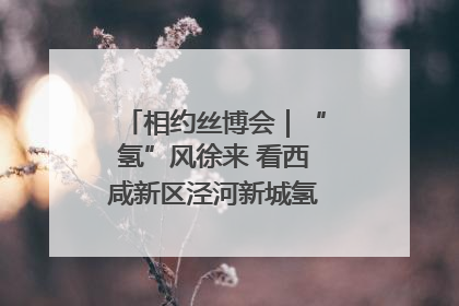 相约丝博会｜“氢”风徐来 看西咸新区泾河新城氢能产业聚链成势