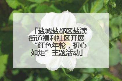 盐城盐都区盐渎街道福利社区开展“红色年轮，初心如炬”主题活动