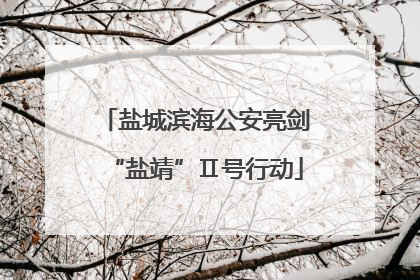 盐城滨海公安亮剑“盐靖”Ⅱ号行动
