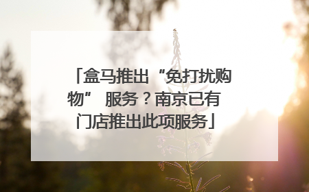 盒马推出“免打扰购物” 服务？南京已有门店推出此项服务