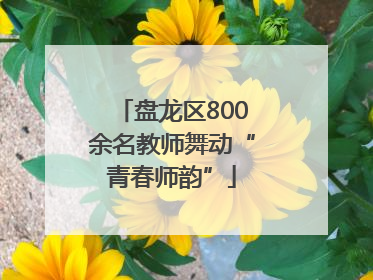 盘龙区800余名教师舞动“青春师韵”