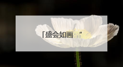 盛会如画 “警”色护航