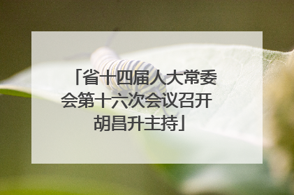 省十四届人大常委会第十六次会议召开 胡昌升主持