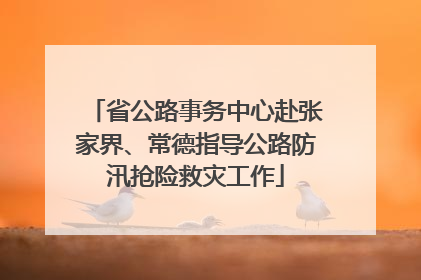 省公路事务中心赴张家界、常德指导公路防汛抢险救灾工作
