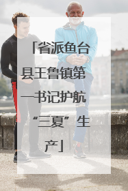 省派鱼台县王鲁镇第一书记护航“三夏”生产