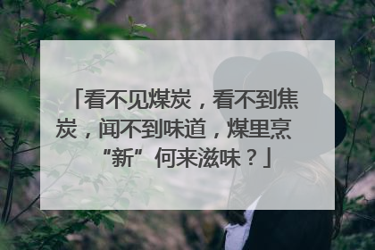 看不见煤炭，看不到焦炭，闻不到味道，煤里烹“新”何来滋味？