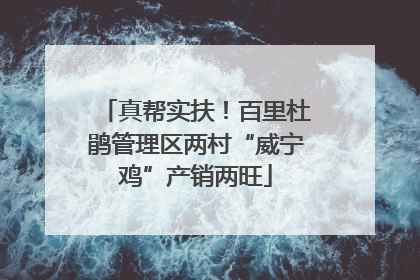真帮实扶！百里杜鹃管理区两村“威宁鸡”产销两旺