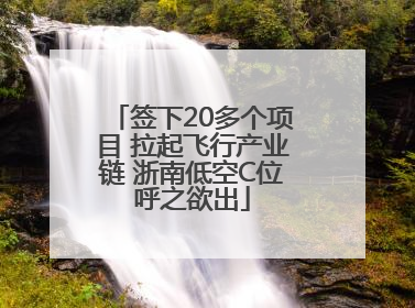 签下20多个项目 拉起飞行产业链 浙南低空C位呼之欲出