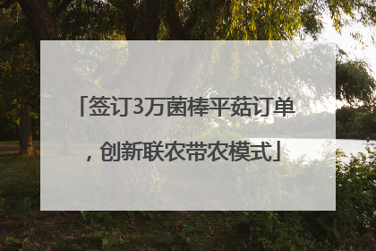 签订3万菌棒平菇订单，创新联农带农模式