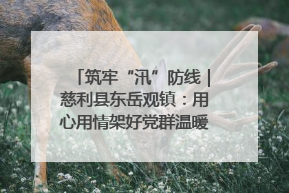筑牢“汛”防线｜慈利县东岳观镇：用心用情架好党群温暖悠长的“连心桥”