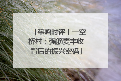 筝鸣时评丨一空桥村：强筋麦丰收背后的振兴密码