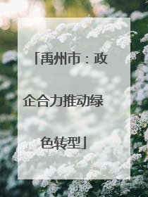禹州市：政企合力推动绿色转型