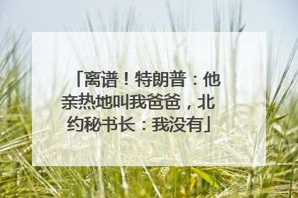 离谱！特朗普：他亲热地叫我爸爸，北约秘书长：我没有