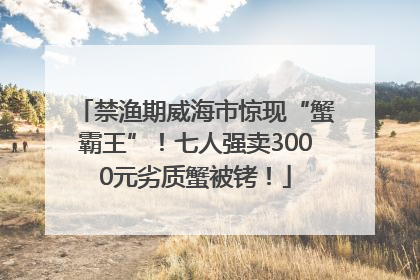 禁渔期威海市惊现“蟹霸王”！七人强卖3000元劣质蟹被铐！