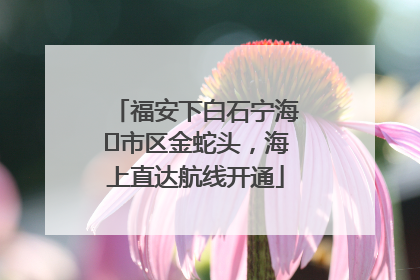 福安下白石宁海⇆市区金蛇头，海上直达航线开通