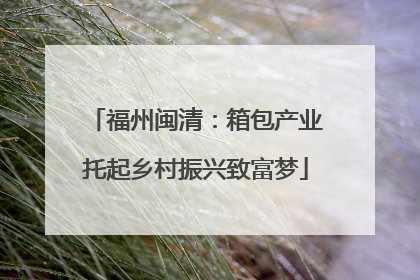 福州闽清：箱包产业托起乡村振兴致富梦