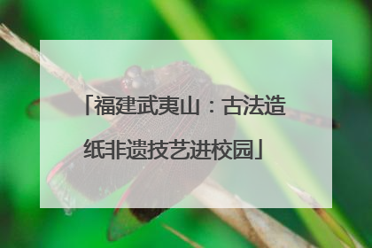 福建武夷山：古法造纸非遗技艺进校园
