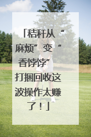 秸秆从“麻烦”变“香饽饽” 打捆回收这波操作太赚了！